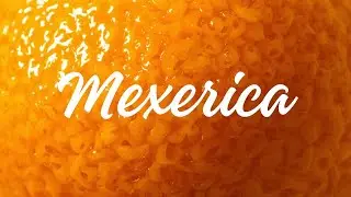 MEXERICA 🍊