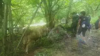 Ruta Cascada del R&iacute;o As&oacute;n. Cantabria. V&iacute;velo Caminantes de Aguere,
