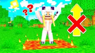Minecraft, ABER du kannst NICHT SPRINGEN! ✿
