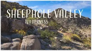 Discovering Sheephole Valley Wilderness | Mojave Trails National Monument | Episode 2