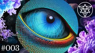 ▲ Vision [003] Dream Wave
