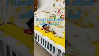HunyHuny cot cum crib review #subscribe #shorts #youtubeshorts #likeforlikes #newmom #baby #shorts