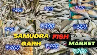 Samudragarh  Fish Market In West Bengal |￼ west bengal wholesale fish market|RRRM|