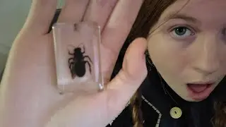 Bishop Arts haul !! (girl vlog)