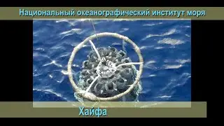Институт моря Haifa. Национальный институт исследования морей и озёр