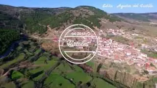 Tórtoles