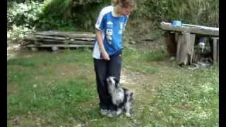 Tani's Heeling Video