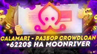 Разбор Calamari и итоги Moonriver - 6220$ с $20 - какой смысл в мультиаккинге на Kusama? | Cryptus