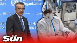 WHO declares Coronavirus outbreak a global pandemic by as killer bug infects 114 countries