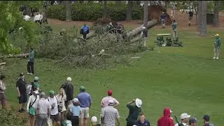 3 large trees collapse at Masters near big group of patrons