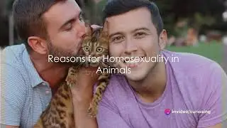 Homosexuality in the animal kingdom #research