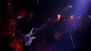 Нас тут нет -  Море и дельфин