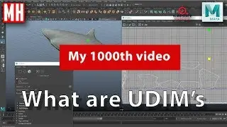 What are UDIM's and how do they improve your texturing workflow ? ( My 1000th video !! )