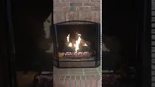 Real Fyre Charred Oak 24