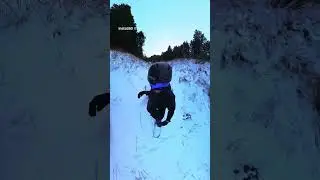 Some backcountry fun! Lots of work for a couple turns with this bad winter. 