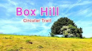 Box hill |  Circular Trail | Marathi Travelogue