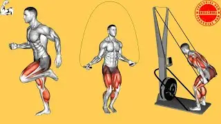 10 Min Fat Burning HIIT Workout (No Equipment)