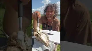 &laquo;постмедосмотр&raquo; черепа