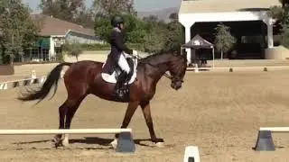 Pat & Limelight - FEI Prix St George -USDF Region 7 Finals -LAEC 9/27/18