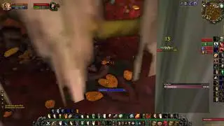Wow Classic Feral Druid Bot farming XP in Azshara