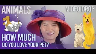 How Much Do You Love Your Pet