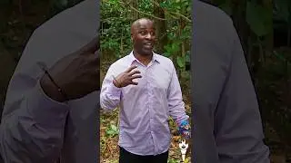 #Survivor45 #Bruce #Emily #Drama #Funny