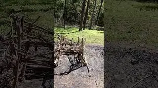 How to burn green wood (tree limbs and brush)