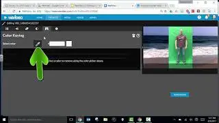 WeVideo Color Keying