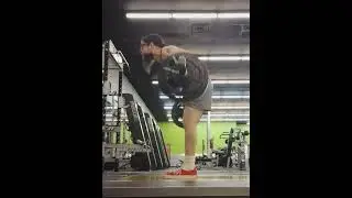 barbell bent row 3x9 @ 190 lbs
