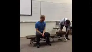 Quantum Spinal Mechanics 3