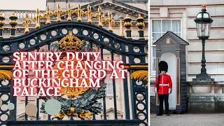 Sentry Duty after Changing of the Guard at Buckingham Palace #london #guards #duty 9th January 2023