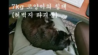 허벅지 침대가 좋구나