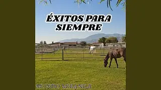 Hilario Carrillo