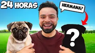 ADOPTAMOS NUEVAMENTE A GORDITA Y SU&nbsp;HERMANA