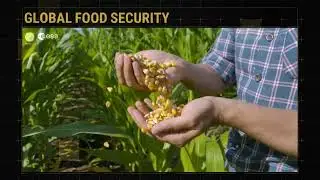WorldCereal, access 10 m seasonally-updated crop type maps at global scale