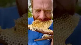 Fresh honeycomb on a stick courtesy of the Bees