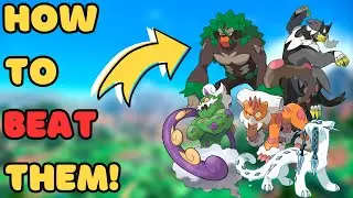 The Top 10 Pokemon in the Reg D Meta | Pokemon Scarlet & Violet Regulation D VGC 2023