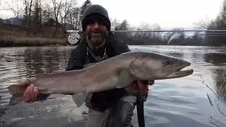 Hucho flyfishing and spin fishing at Savinja