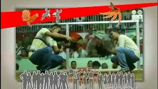 SABONG NATION (2 Cock Ulutan)