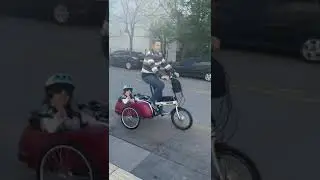 zanardo bicycle side car...
