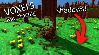 Voxtopolis - Ray Traced Voxels - Shadows and Props