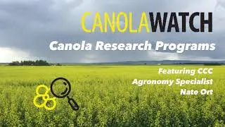 Canola Watch: Canola Research Programs
