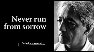Never run from sorrow | Krishnamurti