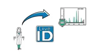 Discover rapid, real time decision making with the Dart QDa System with LiveID