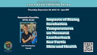 Impacts of Rising Temperatures on Neonatal Leatherback Sea Turtle Skin and Health