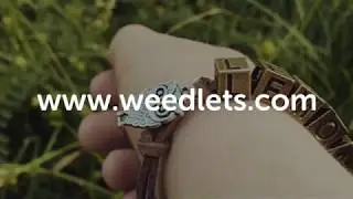 weedlets Intro
