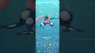 Evolving A Halloween Special Frogadier(Pok&eacute;mon Go)