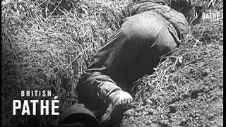 Closing In On Tunis (1943)