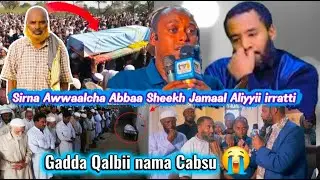 Sirna gaggeess Abbaa Sheekh Jamaal  irratti Dhaamsa addaa Ustaaz Raayyaa, Sheekh Jamaal Aliyyii