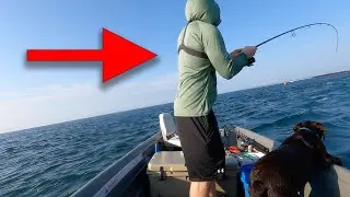 Wrightsville Beach Jetty - Live Bait Fishing and Jigging